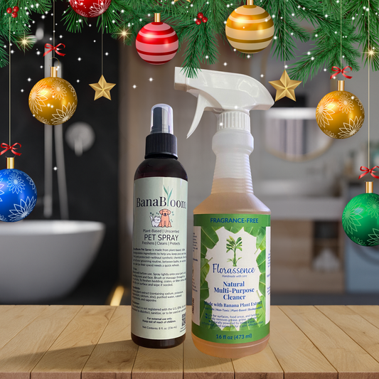 Everyday Essential Pack