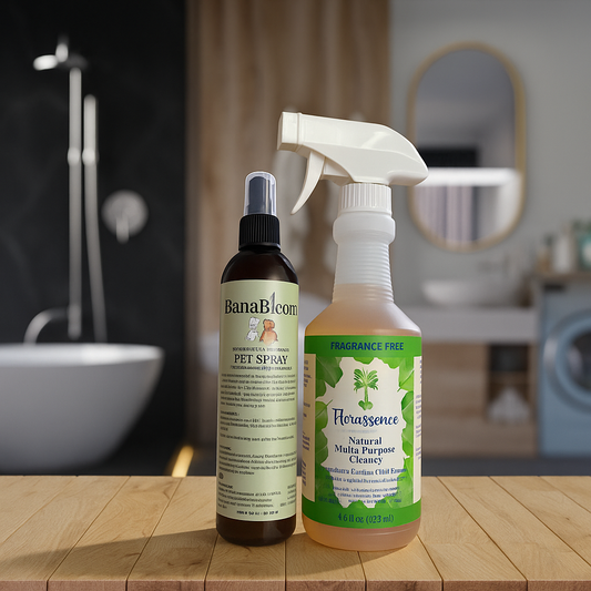 Everyday Essential Pack